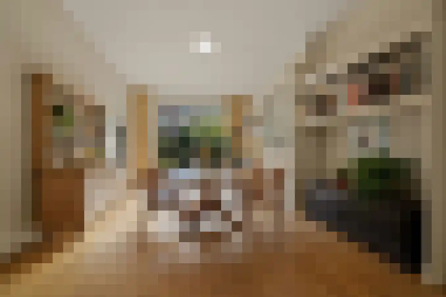 't Hoenstraat 19 Den Haag thumbnail 13