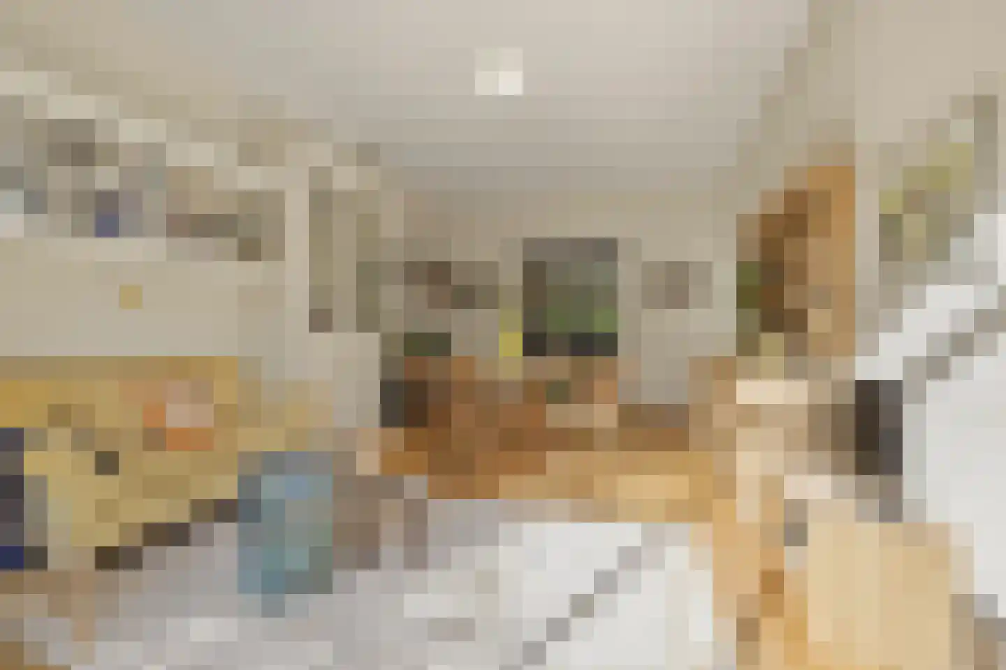 't Hoenstraat 19 Den Haag thumbnail 14
