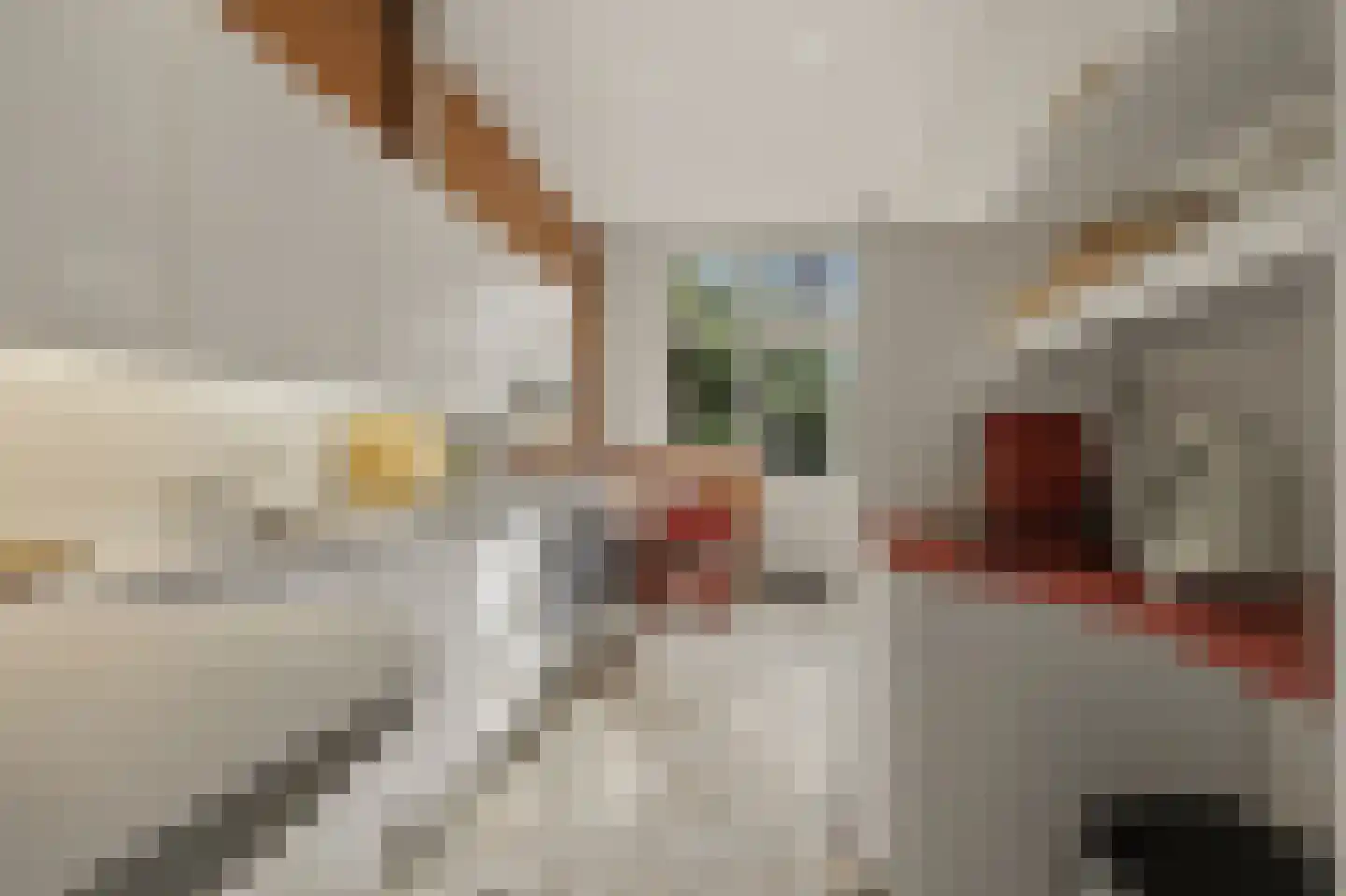 't Hoenstraat 19 Den Haag thumbnail 16