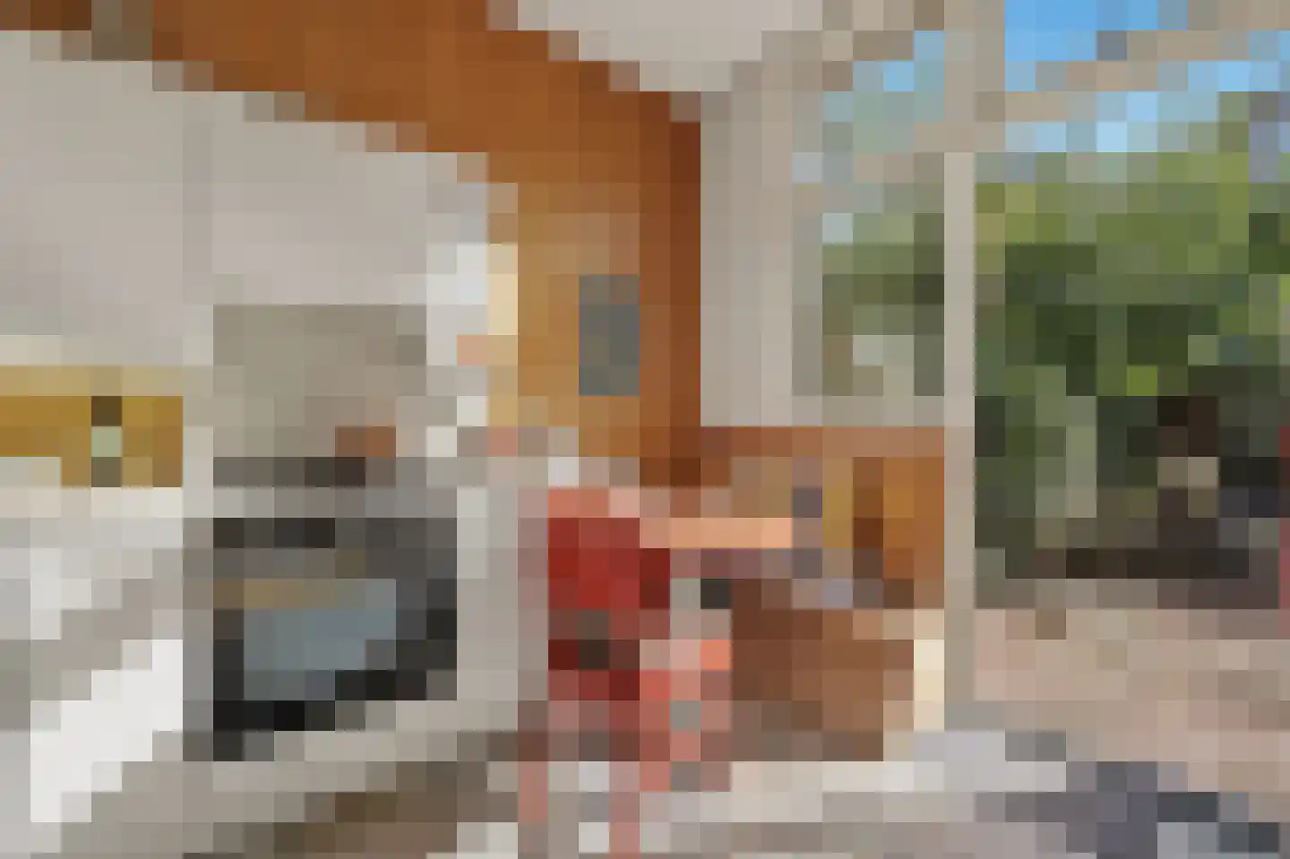 't Hoenstraat 19 Den Haag thumbnail 17
