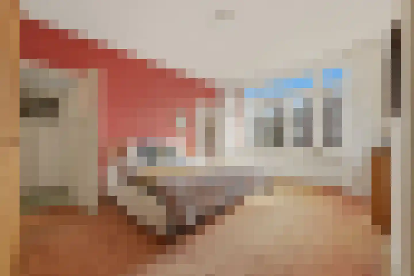 't Hoenstraat 19 Den Haag thumbnail 25