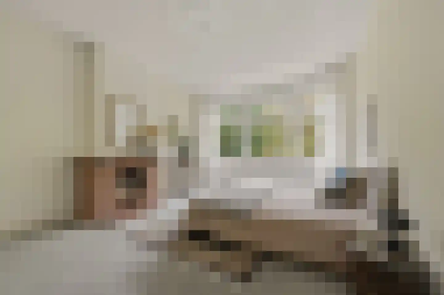 't Hoenstraat 19 Den Haag thumbnail 32