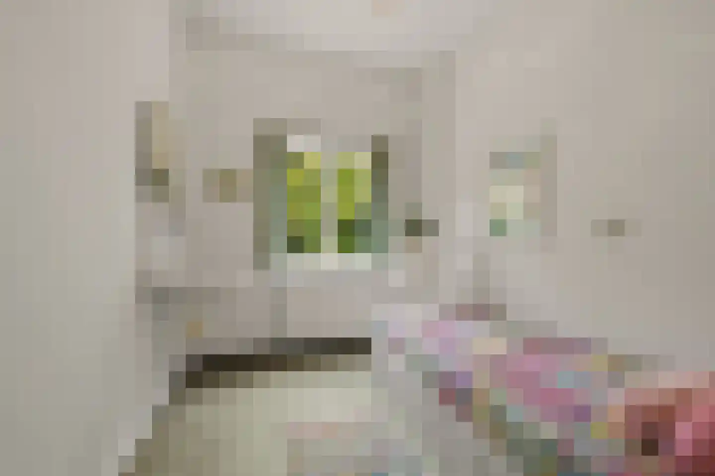 't Hoenstraat 19 Den Haag thumbnail 33