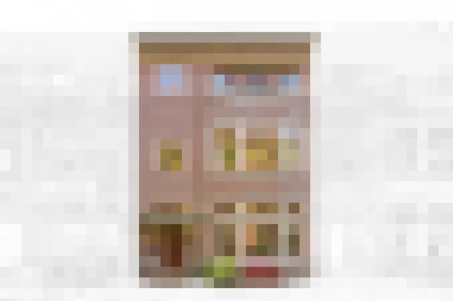 't Hoenstraat 19 Den Haag thumbnail 5