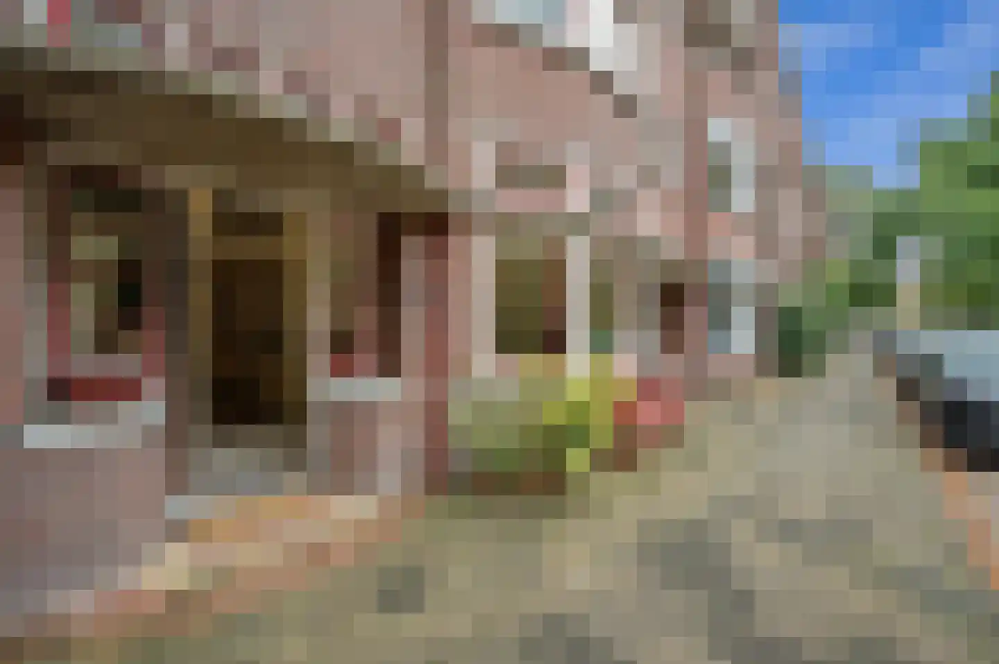 't Hoenstraat 19 Den Haag thumbnail 7
