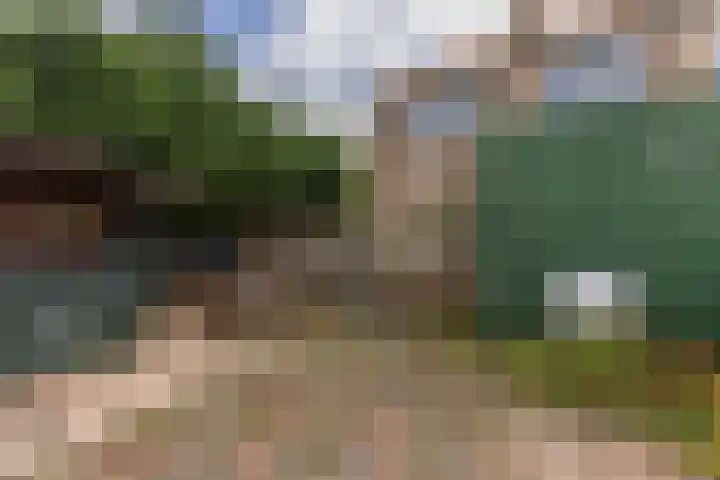 't Hoenstraat 2 A Westzaan thumbnail 24