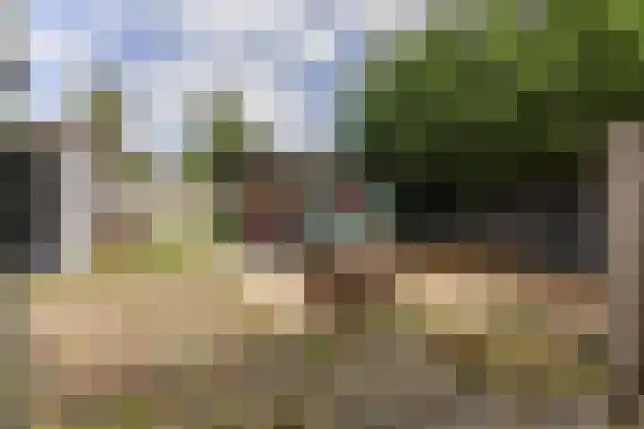 't Hoenstraat 2 A Westzaan thumbnail 25