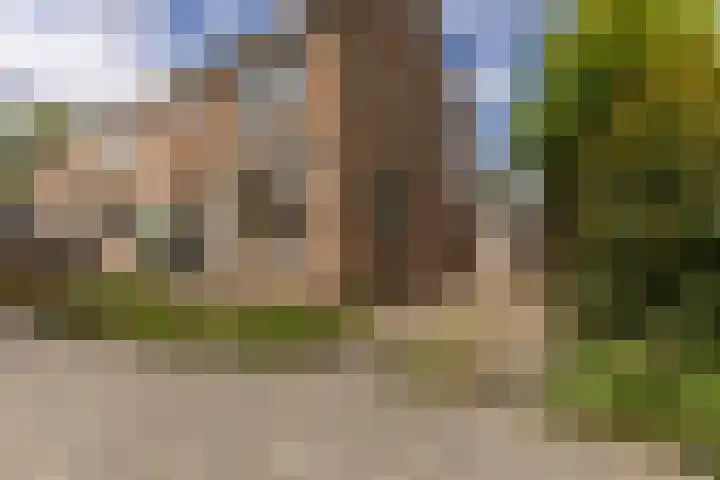 't Hoenstraat 2 A Westzaan thumbnail 30