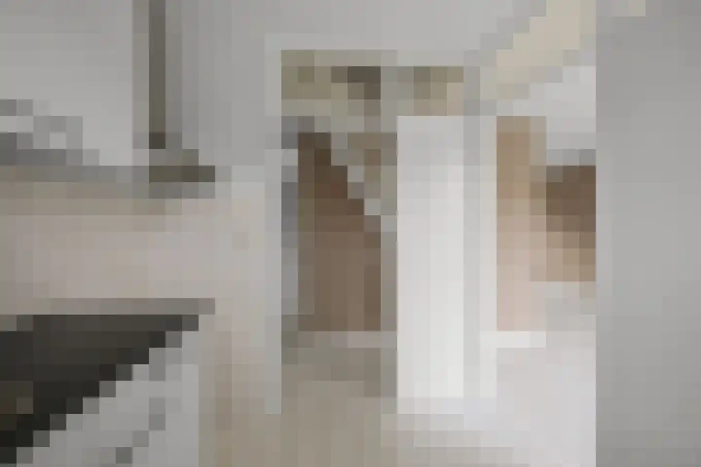't Hoenstraat 39 Westzaan thumbnail 10