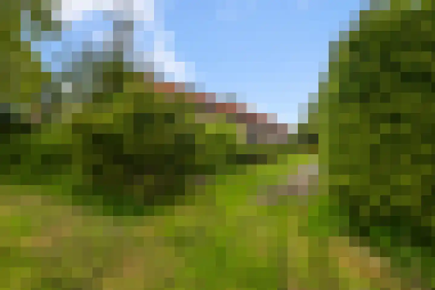 't Hoenstraat 39 Westzaan thumbnail 25