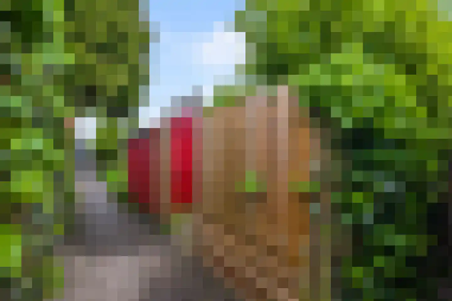 't Hoenstraat 39 Westzaan thumbnail 5