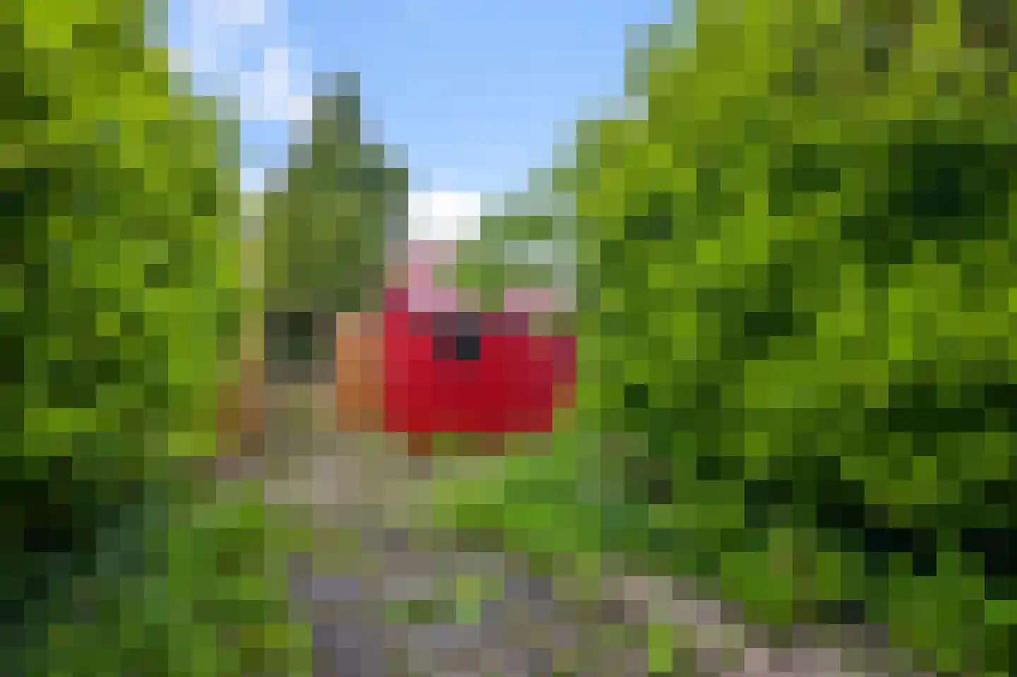 't Hoenstraat 39 Westzaan thumbnail 7