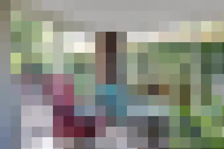 't Hof 1 Lichtenvoorde thumbnail 13