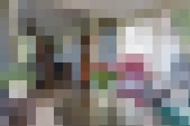 't Hof 1 Lichtenvoorde thumbnail 14
