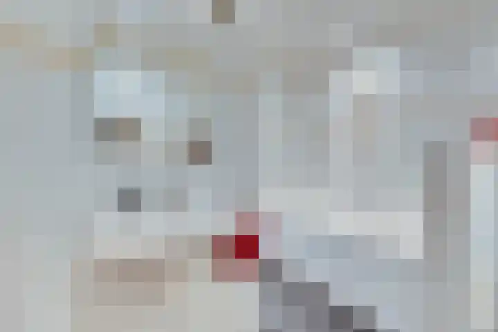 't Hof 1 Lichtenvoorde thumbnail 21