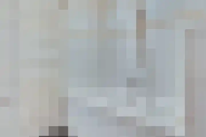 't Hof 1 Lichtenvoorde thumbnail 22