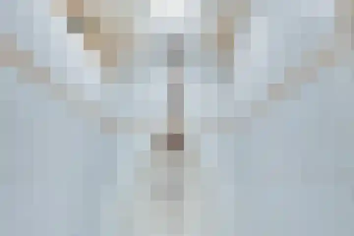 't Hof 1 Lichtenvoorde thumbnail 24