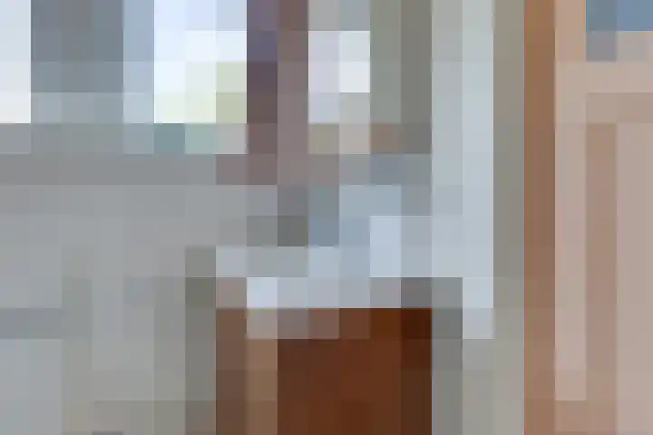 't Hof 1 Lichtenvoorde thumbnail 36