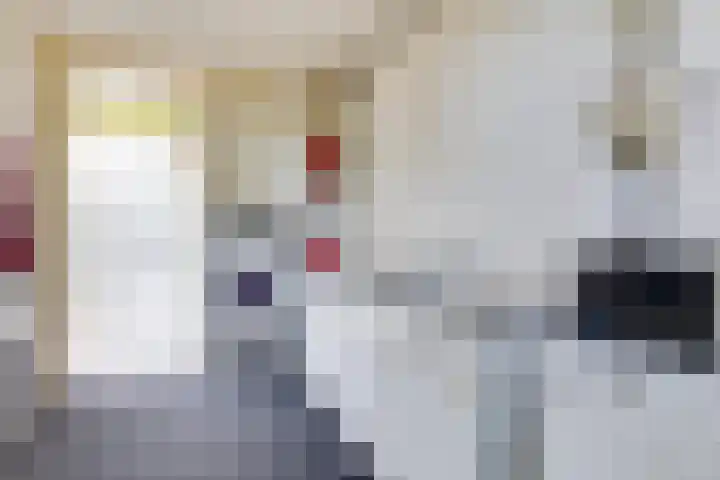 't Hof 1 Lichtenvoorde thumbnail 38