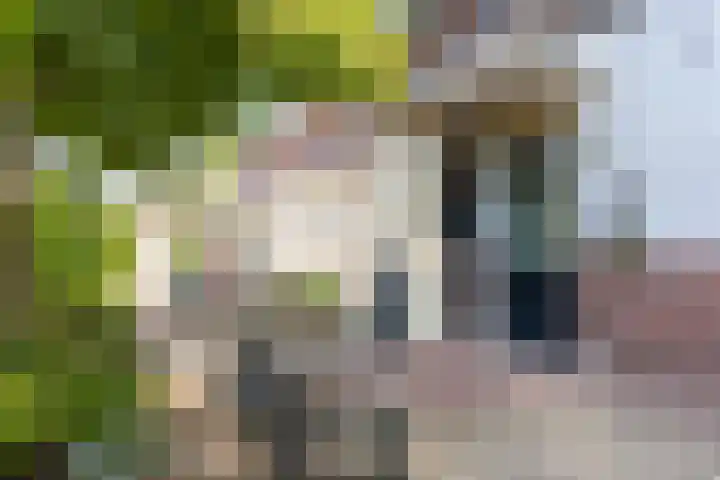't Hof 1 Lichtenvoorde thumbnail 39
