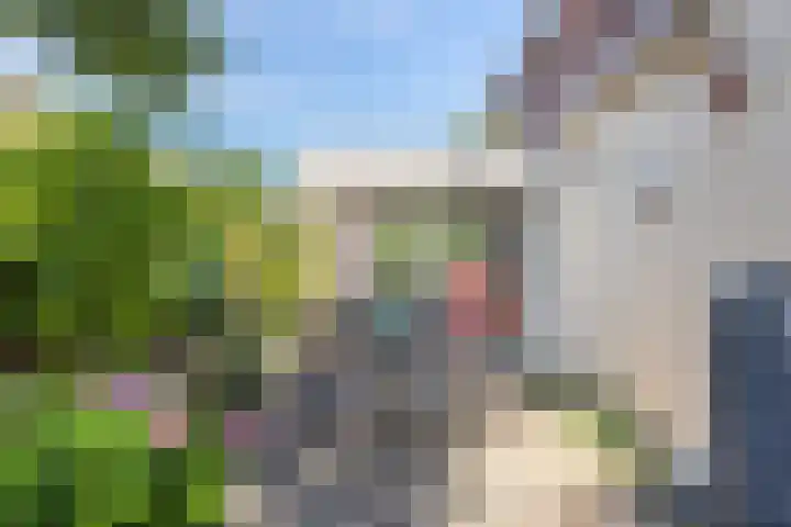 't Hof 1 Lichtenvoorde thumbnail 40