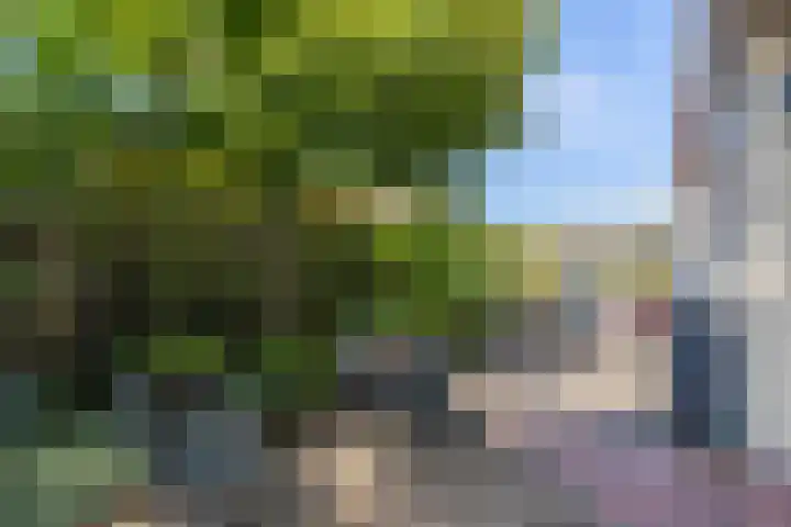 't Hof 1 Lichtenvoorde thumbnail 41