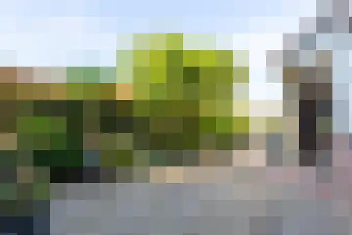 't Hof 1 Lichtenvoorde thumbnail 43