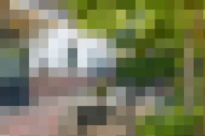 't Hof 1 Lichtenvoorde thumbnail 44