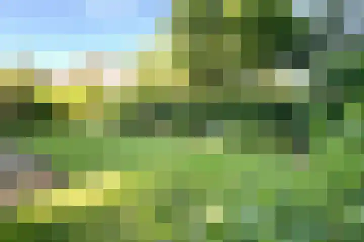 't Hof 1 Lichtenvoorde thumbnail 45