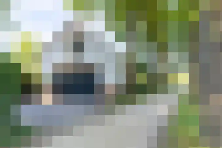 't Hof 1 Lichtenvoorde thumbnail 49