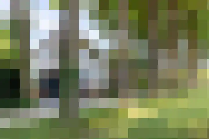 't Hof 1 Lichtenvoorde thumbnail 5