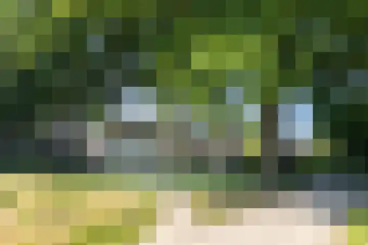 't Hof 1 Lichtenvoorde thumbnail 50