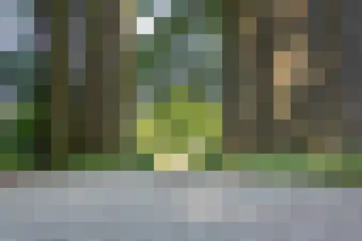 't Hof 1 Lichtenvoorde thumbnail 51