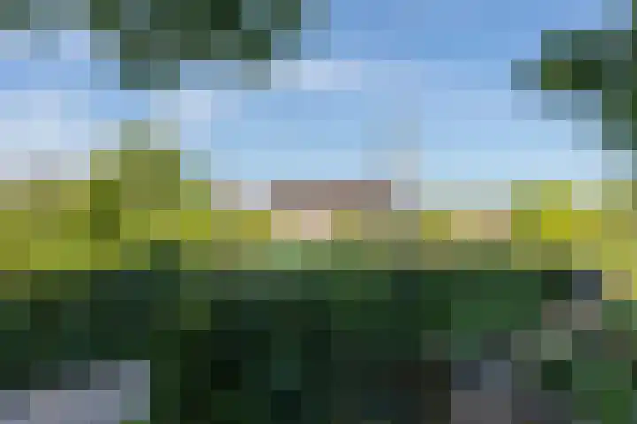 't Hof 1 Lichtenvoorde thumbnail 52