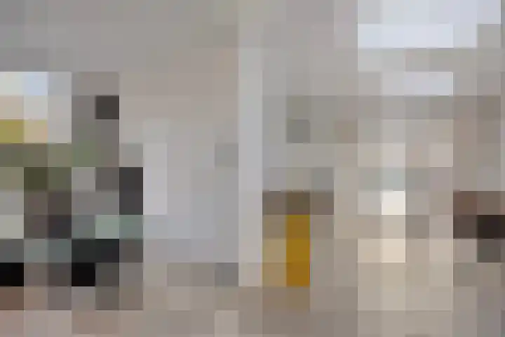 't Hof 20 Beek en Donk thumbnail 21