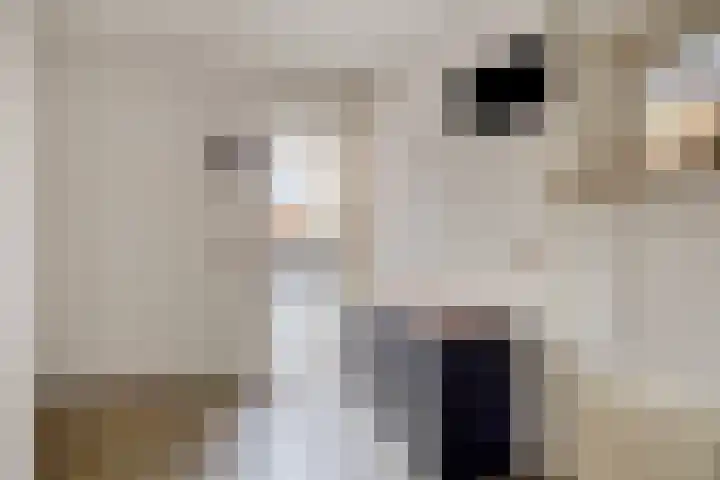 't Hof 20 Beek en Donk thumbnail 23