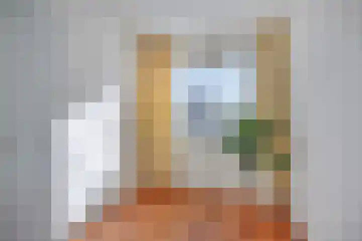 't Hof 20 Beek en Donk thumbnail 32