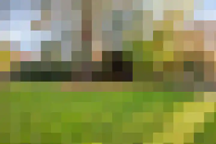 't Hof 20 Beek en Donk thumbnail 40