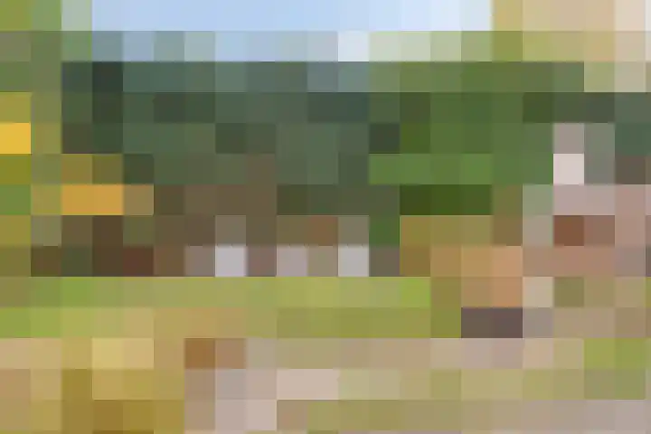 't Hof 20 Beek en Donk thumbnail 42