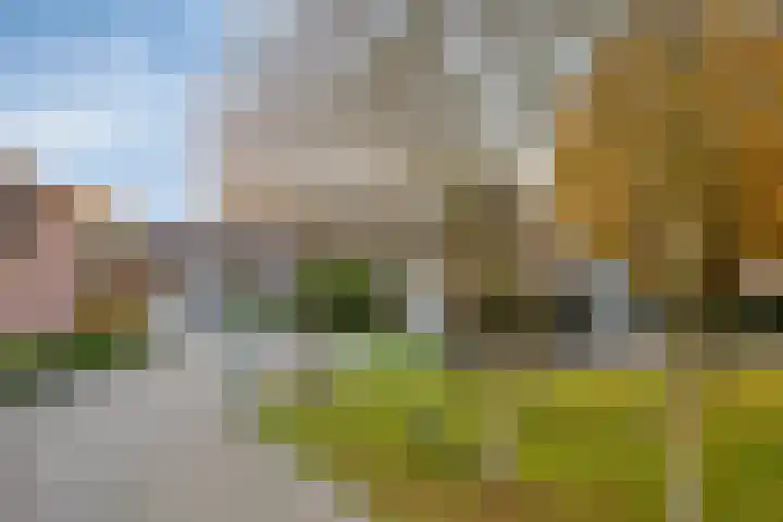 't Hof 20 Beek en Donk thumbnail 50