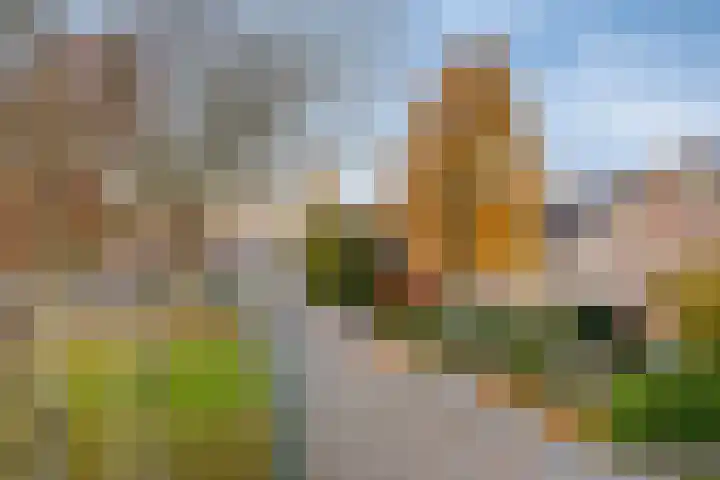 't Hof 20 Beek en Donk thumbnail 51
