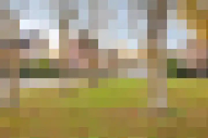 't Hof 20 Beek en Donk thumbnail 52