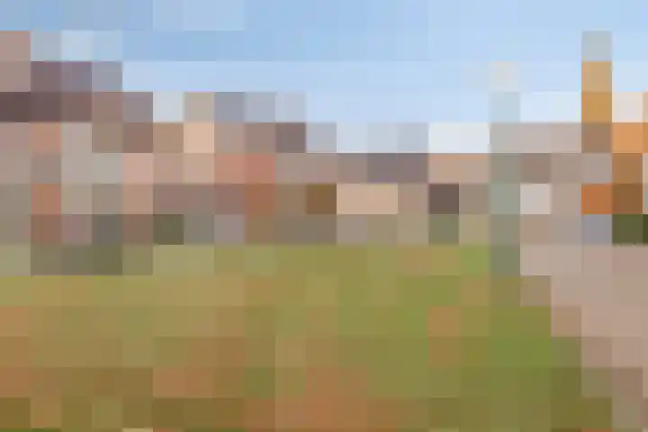 't Hof 20 Beek en Donk thumbnail 53