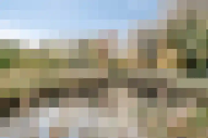 't Hof 20 Beek en Donk thumbnail 54