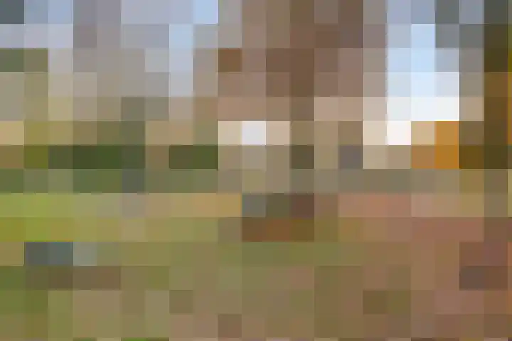 't Hof 20 Beek en Donk thumbnail 55