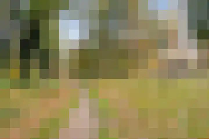 't Hof 20 Beek en Donk thumbnail 56