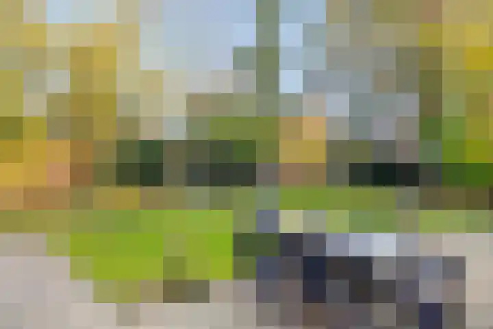 't Hof 20 Beek en Donk thumbnail 6