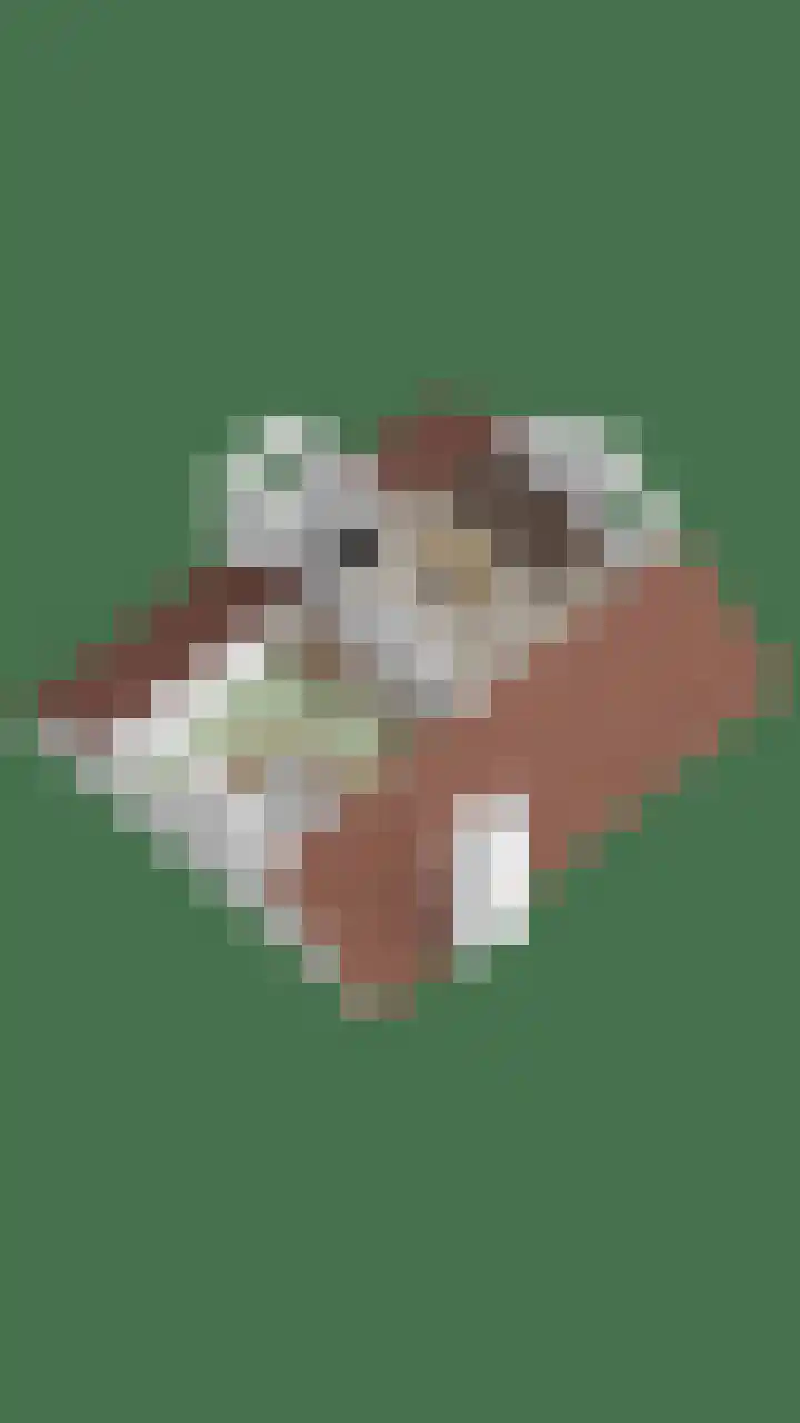 't Hof 20 Beek en Donk thumbnail 64
