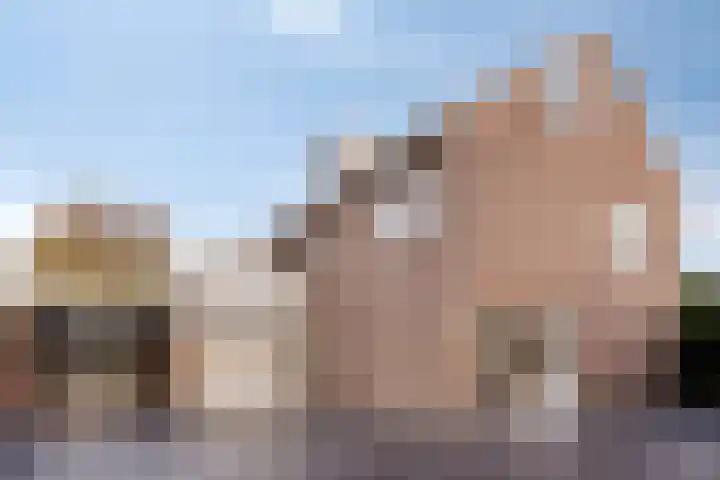 't Hof 20 Beek en Donk thumbnail 8