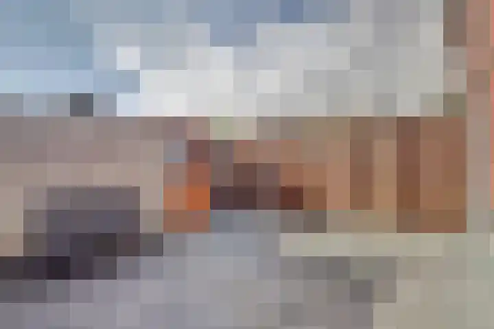 't Hof 3 's-Gravenzande thumbnail 37